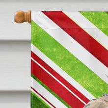 Load image into Gallery viewer, Golden Doodle 2 Candy Cane Christmas Flag Canvas House Size SC9811CHF