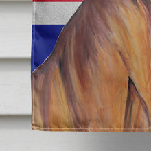 Load image into Gallery viewer, Vizsla with English Union Jack British Flag Flag Canvas House Size SC9835CHF