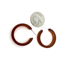 Load image into Gallery viewer, Mahogany Brown Frosted Small Classic Hoop Earrings