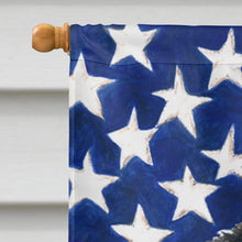 Load image into Gallery viewer, USA American Flag with Akita Flag Canvas House Size