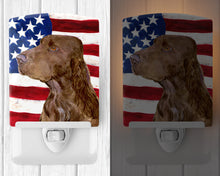 Load image into Gallery viewer, USA American Flag with Field Spaniel Ceramic Night Light SS4010CNL