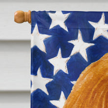Load image into Gallery viewer, USA American Flag with Cavalier Spaniel Flag Canvas House Size