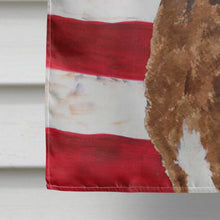 Load image into Gallery viewer, USA American Flag with Curly Coated Retriever Flag Canvas House Size