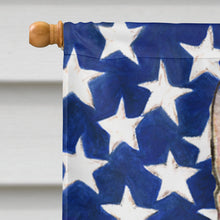 Load image into Gallery viewer, USA American Flag with Rat Terrier Flag Canvas House Size