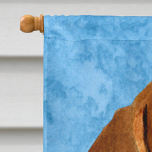 Load image into Gallery viewer, Dachshund Flag Canvas House Size