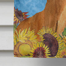 Load image into Gallery viewer, Dachshund Flag Canvas House Size