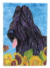 Load image into Gallery viewer, Briard Flag Canvas House Size