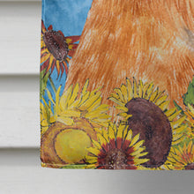 Load image into Gallery viewer, Brussels Griffon Flag Canvas House Size