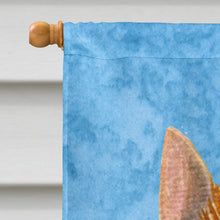 Load image into Gallery viewer, Norwich Terrier Flag Canvas House Size