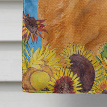 Load image into Gallery viewer, Chow Chow Flag Canvas House Size