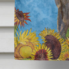 Load image into Gallery viewer, Bergamasco Sheepdog Flag Canvas House Size