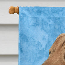Load image into Gallery viewer, Curly Coated Retriever Flag Canvas House Size