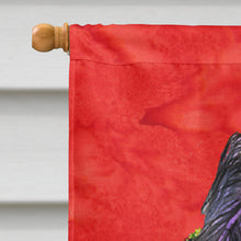 Load image into Gallery viewer, Briard Flag Canvas House Size