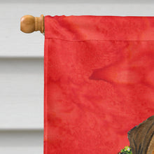 Load image into Gallery viewer, Bullmastiff Flag Canvas House Size