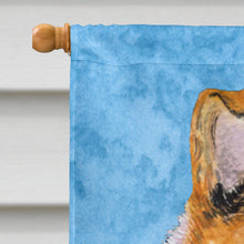 Load image into Gallery viewer, Collie Smooth Flag Canvas House Size