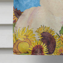 Load image into Gallery viewer, Chihuahua Flag Canvas House Size