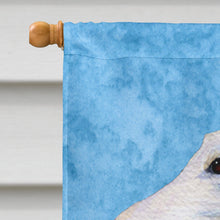 Load image into Gallery viewer, Borzoi Flag Canvas House Size