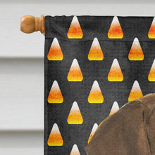 Load image into Gallery viewer, Doberman Candy Corn Halloween Portrait Flag Canvas House Size