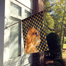 Load image into Gallery viewer, Brussels Griffon Candy Corn Halloween Portrait Flag Canvas House Size