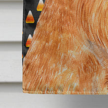Load image into Gallery viewer, Brussels Griffon Candy Corn Halloween Portrait Flag Canvas House Size