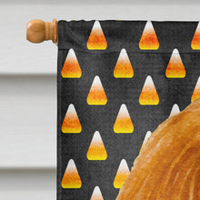Load image into Gallery viewer, Cavalier Spaniel Candy Corn Halloween Portrait Flag Canvas House Size