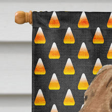 Load image into Gallery viewer, Chesapeake Bay Retriever Wheaten Candy Corn Halloween  Flag Canvas House Size