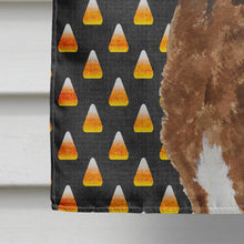 Load image into Gallery viewer, Chesapeake Bay Retriever Wheaten Candy Corn Halloween  Flag Canvas House Size