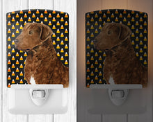 Load image into Gallery viewer, Chesapeake Bay Retriever Wheaten Candy Corn Halloween Portrait Ceramic Night Light SS4324CNL