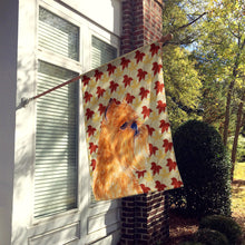 Load image into Gallery viewer, Brussels Griffon Fall Leaves Portrait Flag Canvas House Size