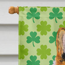 Load image into Gallery viewer, Collie Smooth St. Patrick's Day Shamrock Portrait Flag Canvas House Size