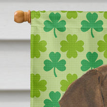 Load image into Gallery viewer, Doberman St. Patrick's Day Shamrock Portrait Flag Canvas House Size