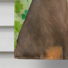 Load image into Gallery viewer, Doberman St. Patrick's Day Shamrock Portrait Flag Canvas House Size