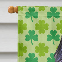 Load image into Gallery viewer, Briard St. Patrick's Day Shamrock Portrait Flag Canvas House Size