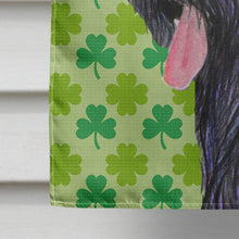 Load image into Gallery viewer, Briard St. Patrick's Day Shamrock Portrait Flag Canvas House Size