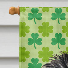 Load image into Gallery viewer, Affenpinscher St. Patrick's Day Shamrock Flag Canvas House Size