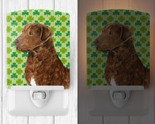 Load image into Gallery viewer, Chesapeake Bay Retriever St. Patrick's Day Shamrock Portrait Ceramic Night Light SS4462CNL
