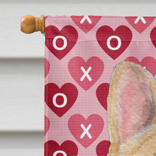 Load image into Gallery viewer, French Bulldog Hearts Love Valentine's Day Flag Canvas House Size