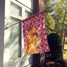 Load image into Gallery viewer, Brussels Griffon Hearts Love and Valentine's Day  Flag Canvas House Size