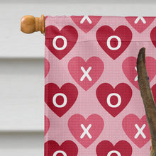 Load image into Gallery viewer, Boxer Hearts Love and Valentine's Day Portrait Flag Canvas House Size