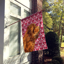 Load image into Gallery viewer, Sussex Spaniel Hearts Love and Valentine's Day Portrait Flag Canvas House Size