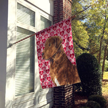 Load image into Gallery viewer, Chesapeake Bay Retriever Hearts Love and Valentine's Day  Flag  House Size