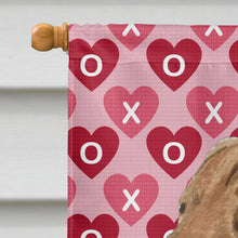 Load image into Gallery viewer, Chesapeake Bay Retriever Hearts Love and Valentine's Day  Flag  House Size