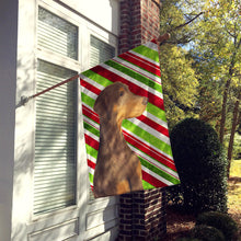 Load image into Gallery viewer, Doberman Candy Cane Holiday Christmas Flag Canvas House Size
