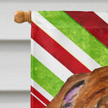 Load image into Gallery viewer, Bulldog English Candy Cane Holiday Christmas Flag Canvas House Size
