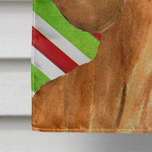 Load image into Gallery viewer, Dachshund Candy Cane Holiday Christmas Flag Canvas House Size