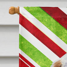 Load image into Gallery viewer, Clumber Spaniel Candy Cane Holiday Christmas Flag Canvas House Size