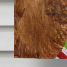 Load image into Gallery viewer, Sussex Spaniel Candy Cane Holiday Christmas Flag Canvas House Size