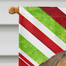 Load image into Gallery viewer, Bullmastiff Candy Cane Holiday Christmas Flag Canvas House Size