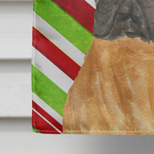 Load image into Gallery viewer, Bullmastiff Candy Cane Holiday Christmas Flag Canvas House Size