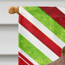 Load image into Gallery viewer, Field Spaniel Candy Cane Holiday Christmas Flag Canvas House Size
